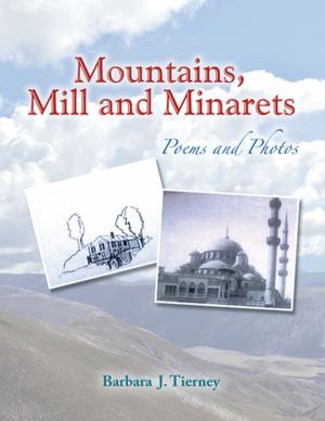 Cover of the book Mountains, Mill and Minarets by Susan L. Plotkin