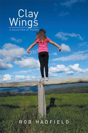 Cover of the book Clay Wings by Eddie Blacklock
