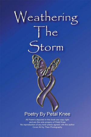Cover of the book Weathering the Storm by Darren Carter