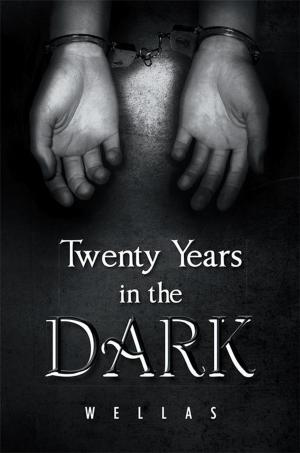 Book cover of Twenty Years in the Dark