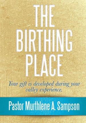 Cover of the book The Birthing Place by Lucy Horwitz