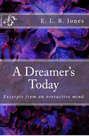 Book cover of A Dreamer's Today