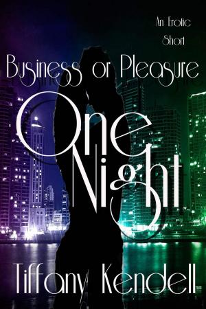 Cover of the book One Night - Business or Pleasure by Kit Love