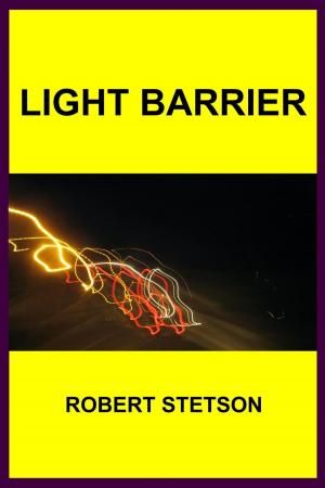 Cover of the book Light Barrier by Robert Stetson