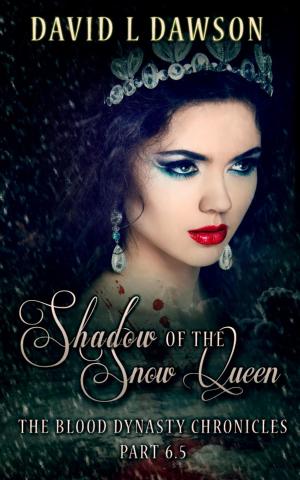 Cover of the book Shadow of the Snow Queen by Catherine Wolffe