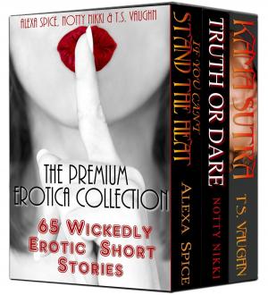 Cover of The Premium Erotica Collection (65 Wickedly Erotic Short Stories)