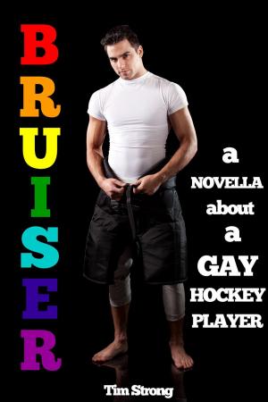 Cover of the book Bruiser: A Novella About A Gay Hockey Player by Andrew Daws