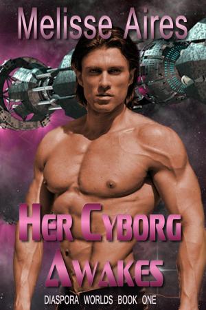 Cover of the book Her Cyborg Awakes by Storm Princeholm