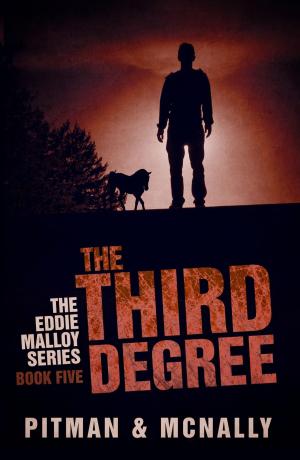 Book cover of The Third Degree
