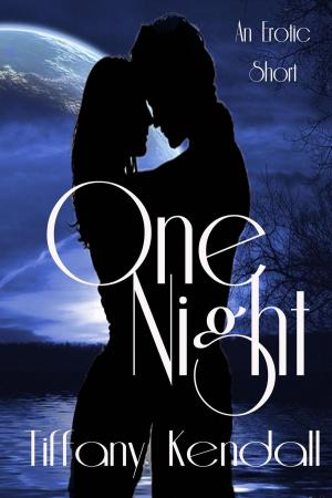 Cover of the book One Night by Faith Grace
