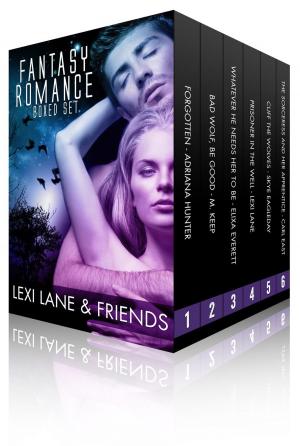 Cover of the book Fantasy Romance Collection (Paranormal Fantasy Romance Boxed Set) by J.L. Sheppard