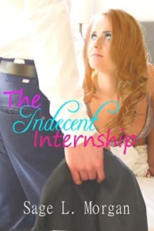 Book cover of The Indecent Internship