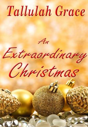 Cover of the book An Extraordinary Christmas by Jeroen van Mastbergen