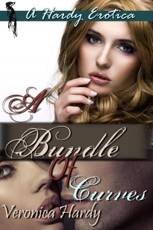 Cover of the book A Bundle Of Curves: A BBW Collection by B.J. Blueboy