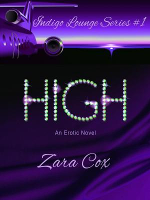 Cover of the book High by Sarah Q. Parr