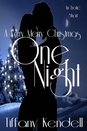 Cover of the book One Night - A Very Merry Christmas by T.J Dipple