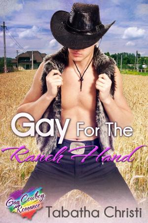 Cover of the book Gay for the Ranch Hand by Annie DiFranco