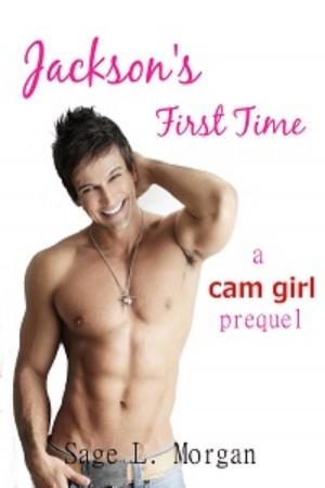 Cover of the book Jackson's First Time by Misty Vixen
