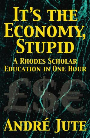 Cover of the book It's the Economy, Stupid: a Rhodes Scholar Education in One Hour by Andrew McCoy