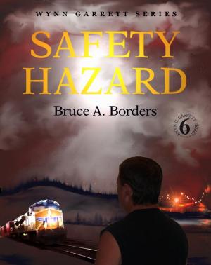 Cover of the book Safety Hazard by Joe Rothstein