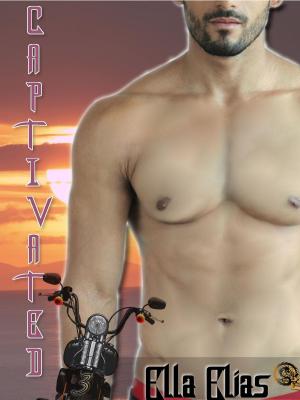 Cover of Captivated 3 (The Dragons)