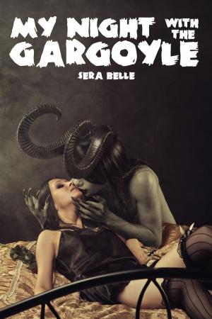 Cover of the book My Night with the Gargoyle by Sera Belle