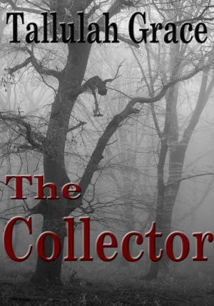 Cover of the book The Collector by Jennifer Brown