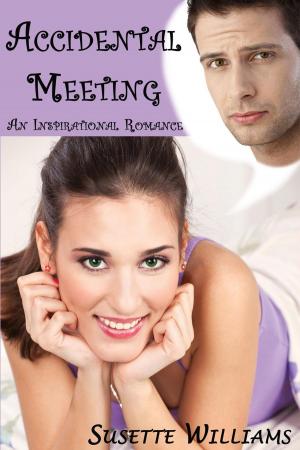 Book cover of Accidental Meeting