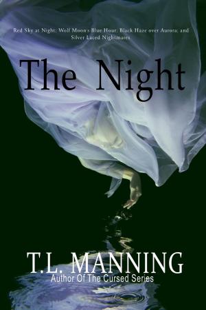 Cover of the book The Night by Erika Knudsen