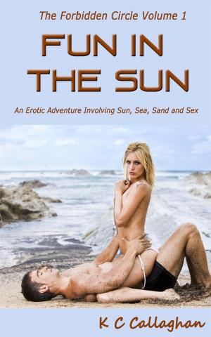Book cover of Fun In The Sun