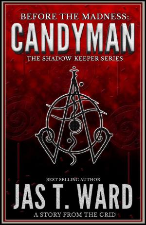 Book cover of Candyman: A Story from the Grid