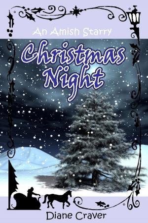 Cover of the book An Amish Starry Christmas Night by Katharine Kincaid