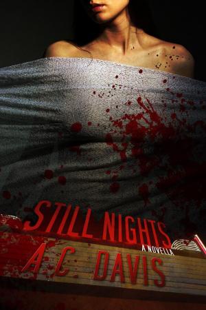 Cover of the book Still Nights by Jenn Gott