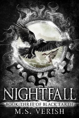 bigCover of the book Nightfall by 