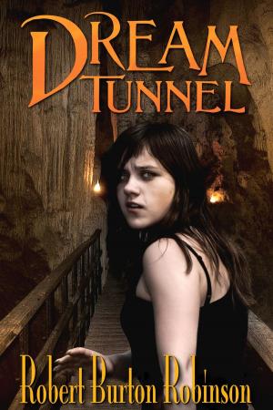 Book cover of Dream Tunnel