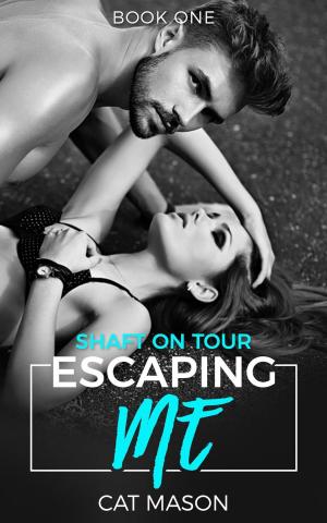 bigCover of the book Escaping Me by 