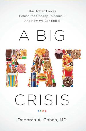 Cover of the book A Big Fat Crisis by Daniel Glick