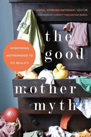 Cover of the book The Good Mother Myth by Josh Gottheimer