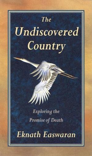 Cover of the book Undiscovered Country by TAT