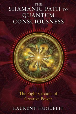 Book cover of The Shamanic Path to Quantum Consciousness