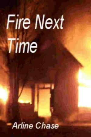 Cover of the book Fire Next Time by Michael E. Field