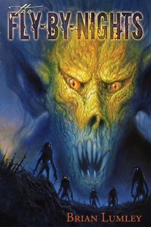 Cover of the book The Fly-By-Nights by Kelley Armstrong