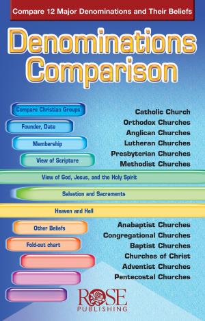Cover of the book Denominations Comparison by Benjamin Galan