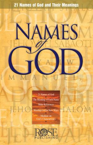 bigCover of the book Names of God by 