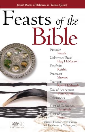 bigCover of the book Feasts & Holidays of Bible by 