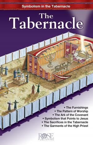 Book cover of Tabernacle