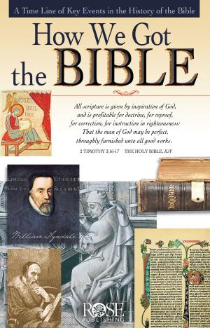 Cover of the book How We Got the Bible by John Trent