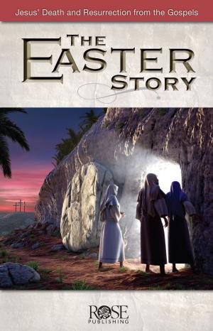 Cover of the book Easter Story by Jonathan Mubanga Mumbi