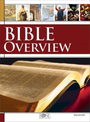 Cover of the book Bible Overview Book by Paul H. Wright