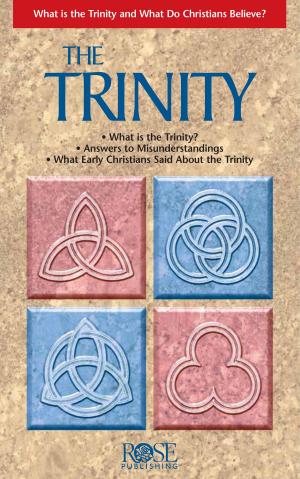 Cover of the book Trinity by Timothy Paul Jones